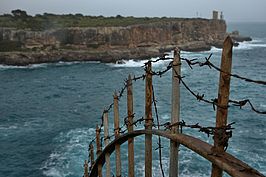 DSC03582 -1_t.jpg